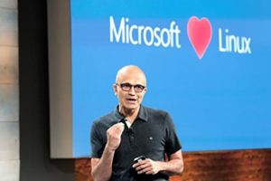 Microsoft loves Linux