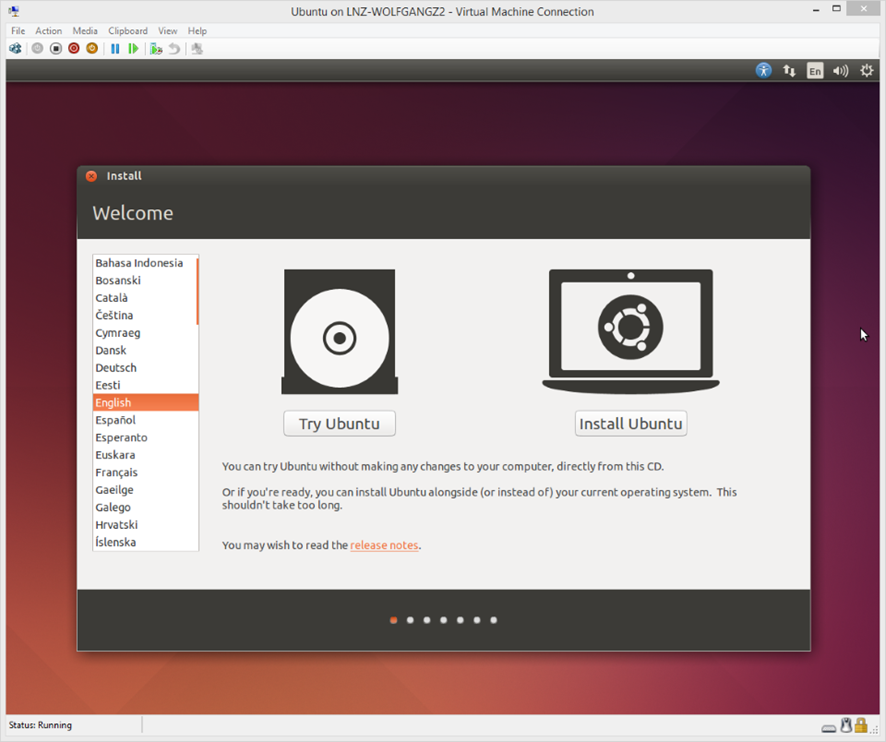 Ubuntu Install Wizard