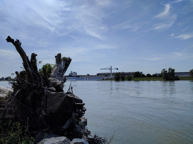 Walking along the Danube