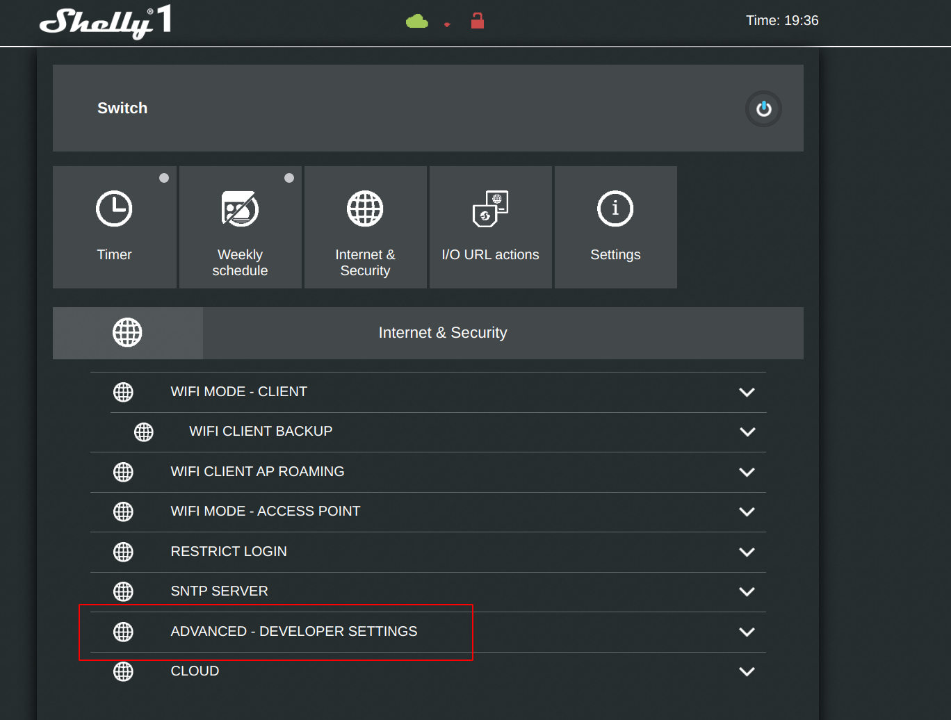 Shelly Developer Settings