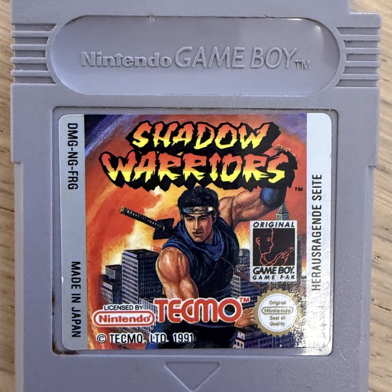 Shadow Warriors - featured image