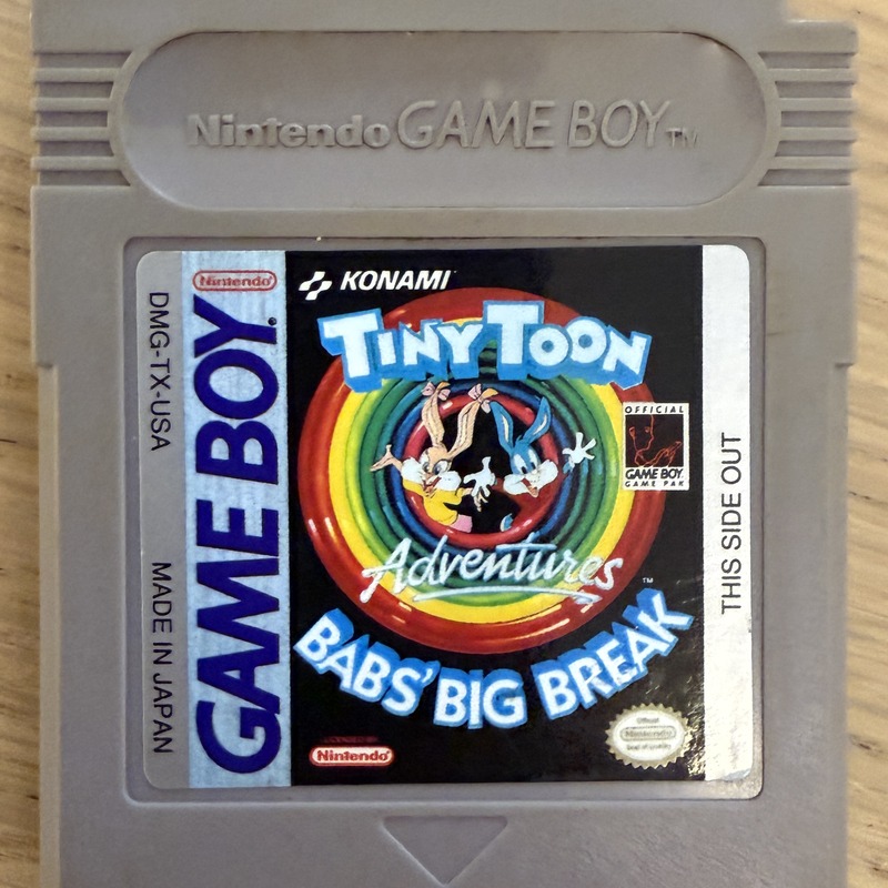Tiny Toon Adventures: Babs' Big Break - featured image